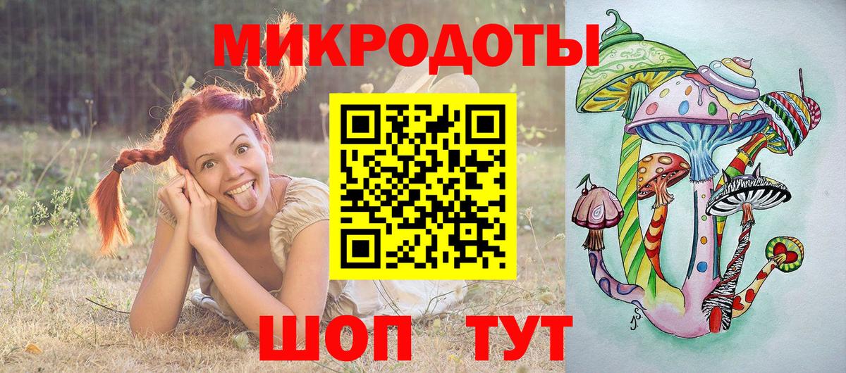 Галлюциногенные грибы Psilocybe Гурьевск