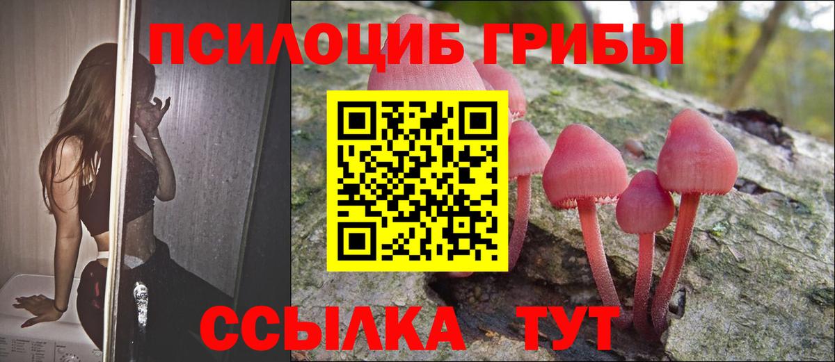 Гурьевск  Псилоцибиновые грибы MAGIC MUSHROOMS  Псилоцибиновые грибы ЛСД  Вход с VPN 